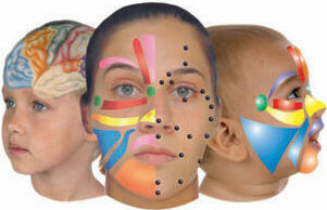 ansigtsrefleksterapi
